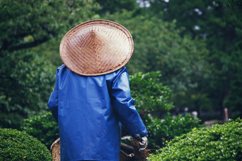 Organic Pest Control